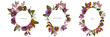 Floral frames with colored laelia, feijoa flowers, glory bush, papilio torquatus, cinchona, cattleya aclandiae