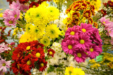 Bunch Of Bright Colorful Chrysanthemums On A Blurred Background, Flowershop