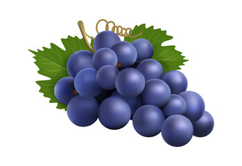 Wall Mural - Realistic grape bunch. Black winery grapes, isolated 3d plant with berry and leaves. Eco farm product, raw for wine vector ingredient