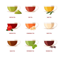 Sticker - Type of tea. Beverage drinking natural products with green leaves lemon rooibos liquids in glass cups black tea garish vector flat illustrations set