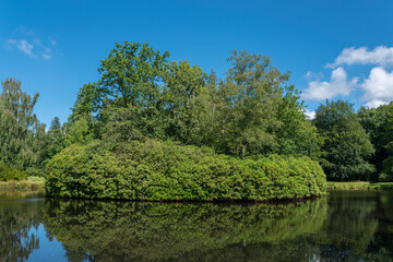 Wall Mural - Rhododendron bush in landscape garden and castle park Lütetsburg