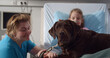 © TommyStockProject - Nurse holding brown labrador on leash visiting sick girl in hospital ward
