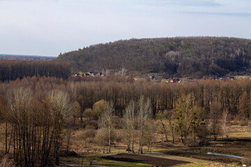 Wall Mural - ukrainian village, spring hills, houses and forest