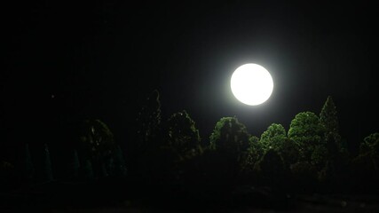 Wall Mural - full moon over the forest at night. scenic night landscape of country road at night with large moon.