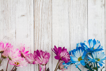 Sticker - Blank blue and pink daisies bunch of flowers on a weathered whitewashed wood background
