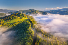 Mountains In Clouds At Sunrise In Summer. Aerial View Of Mountain Peak With Green Trees In Fog. Beautiful Landscape With High Rocks, Forest, Sky. Top View From Drone Of Mountain Valley In Low Clouds