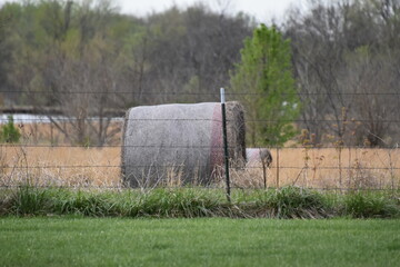 Canvas Print - Hay Bale in a Field