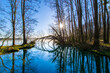 reflection of trees in water (Stienitzsee, Brandenburg, germany)