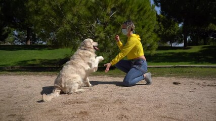 Poster - A Caucasian female in a facial mask playing with her Golden Retriever in a park in slow motion - new normal concept