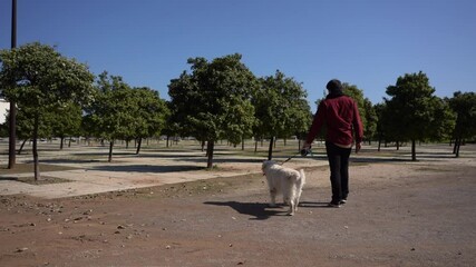 Poster - A Hispanic male in a facial mask walking with his Golden Retriever in a park in slow motion - new normal concept