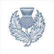Scottish thistle emblem badge design vector illustration, in hand drawn style