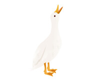Cute Duck White Flying Goose Cartoon Animal Design Vector Illustration On White Background