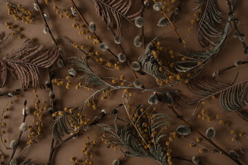 Wall Mural - Flat lay, top view. Floral pattern with small mimosa flowers, juniper, pussy willow on brown background. Spring or summer concept. A background with flowers.