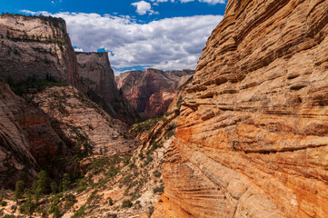 zion national park