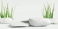 White Stone Product Display Podium Stand With Aloe Vera On White Background. 3D Rendering