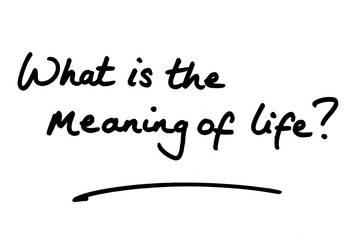 Poster - What is the meaning of life?