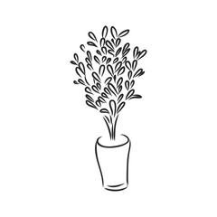 Wall Mural - Pot plants set, vector illustration flowers in pots drawn black line on a white background, hand-drawn design elements.