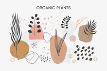 Set Of Vector Hand Drawn Abstract Leaves And Plants With Textures And Shapes.