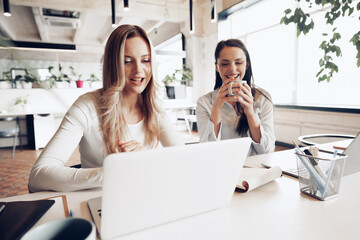 Wall Mural - Two young female colleagues discussing business project together in office