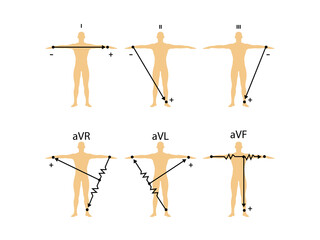 Einthoven ECG triangle, including augmented unipolar limb lead