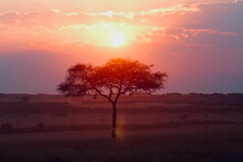 Red African Sunset Free Stock Photo - Public Domain Pictures