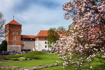 Wall Mural - Wawel Royal Castle in Krakow, Poland.