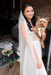 Front view of young brunette bride holding a yorkshire terrier in a hotel room. The concept of the bride in the morning