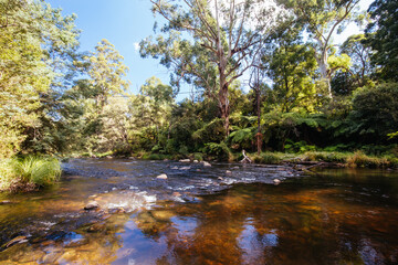 Sticker - Yarra River View in Warburton Australia