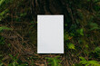 book with blank cover and empty cover perched in a forest