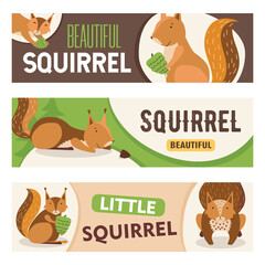 Wall Mural - Creative banner designs with cute cartoon squirrel character. Little happy orange mammal with nut smiling, sitting. Wildlife, nature concept for banner or header design