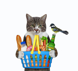 Wall Mural - A colored cat holds a shopping basket with food and a credit card. White background. Isolated.