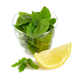 Poster - fresh mint isolated on white background