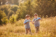 © natabook2015 - Twin boys play in the summer in the meadow