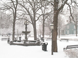 Wall Mural - snow covered bench