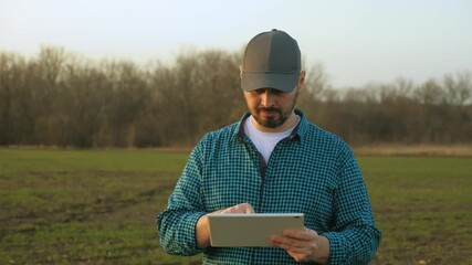 Wall Mural - Farmer agronomist in field wheat at sunset. Ecoculture farm. Senior farmer, business owner looks in tablet in field wheat. Senior agronomist with tablet in hands. Farmer agronomist checks eco-crops