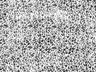 Poster - abstract leopard print	
