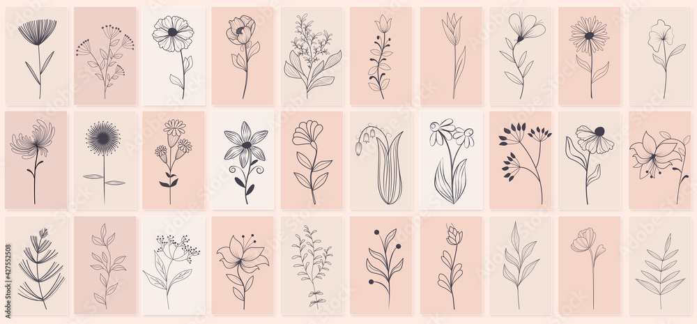 Set of beautiful hand drawn of floral with leaves and branches, floral sketch collection. Flowering plants and wild herbs hand drawn. Isolated vector icons set - obrazy, fototapety, plakaty 