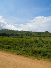 Tanzania, Africa - February 27, 2020: Lush Green Scenery Along Dirt Road In Tanzania