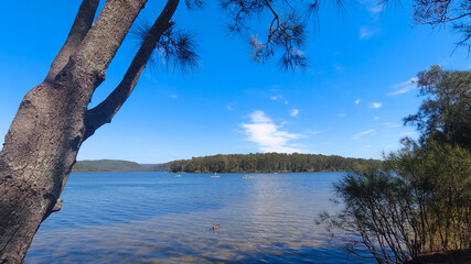 Sticker - Beautiful view of people kayaking afar on the Narrabeen Lakes at Sydney Australia, Northern Beaches