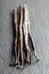 Poster - Vanilla pods. Sticks of vanilla.