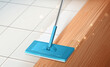 © Rolling Stones - Mop cleaning floor