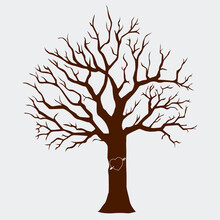 Silhouette Of Tree Vector Illustration With Heart