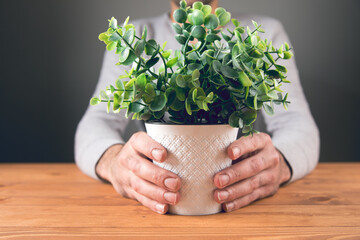 Wall Mural - holding a pot of plants