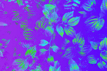 Tropical Leaf Forest Glow In The Dark Background.