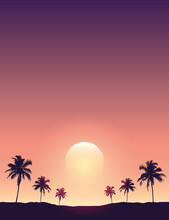 Beautiful Sunset On Tropical Palm Tree Silhouette Background