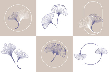 Ginkgo biloba leaves. Set of ginkgo leaf by hand drawing on white backgrounds. Elements for logo design. Vector illustration in a minimal linear style.