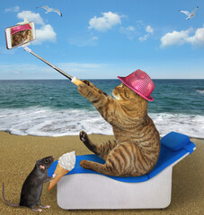 Wall Mural - A beige cat in a pink hat with a smartphone takes a selfie on a sun lounger by the sea.