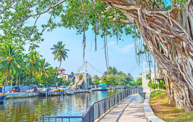 Canvas Print - The Hamilton's Canal Park in Wattala, Colombo, Sri Lanka