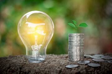 Light bulb with coin stacks beside and green plant on top, saving money, save energy concept put on the soil in soft green nature background.