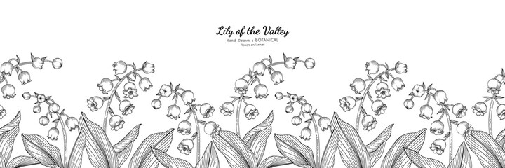 Wall Mural - Seamless pattern Lily of the valley flower and leaf hand drawn botanical illustration with line art.